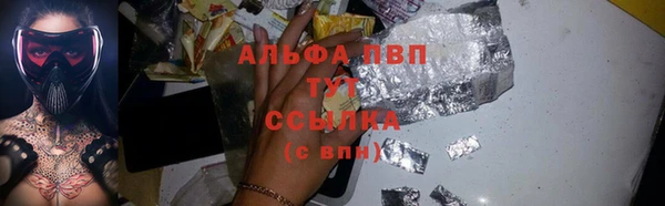 гидра Абаза