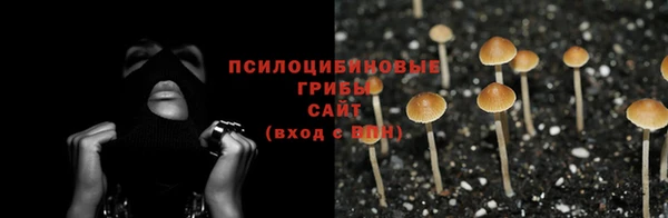 тгк Алексеевка