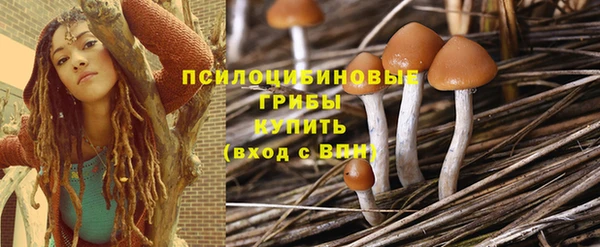 тгк Алексеевка