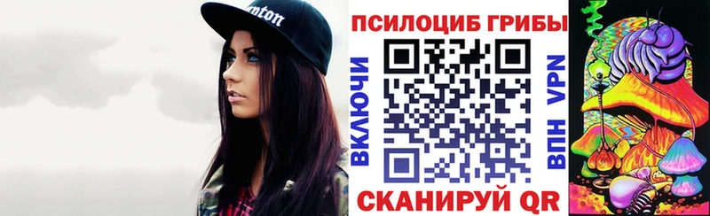 сайты даркнета состав Ртищево Галлюциногенные грибы Cubensis