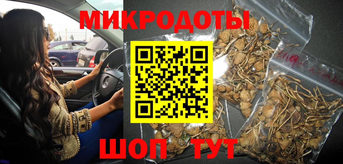 Псилоцибиновые грибы мицелий  Вход с VPN  Ртищево  Псилоцибиновые грибы ЛСД 