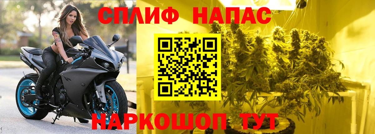 Канабис индика Ртищево